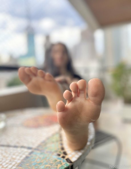 lananoccioli high quality star img