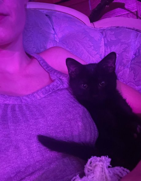 lola costa model naked archive