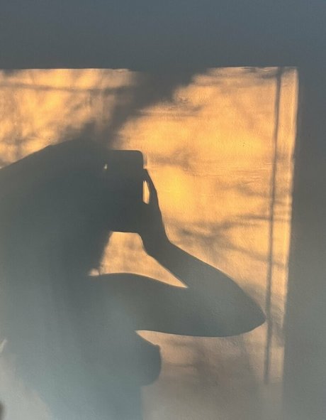 chanohomies nice pornstar img