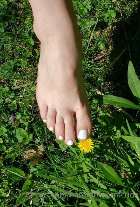 barefootbarracuda free model archive