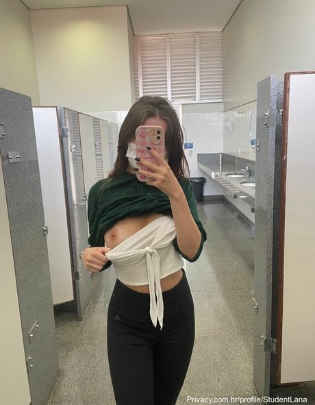 StudentLana best model img