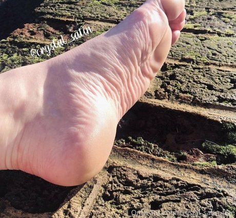 crystal satin free star pornographic images