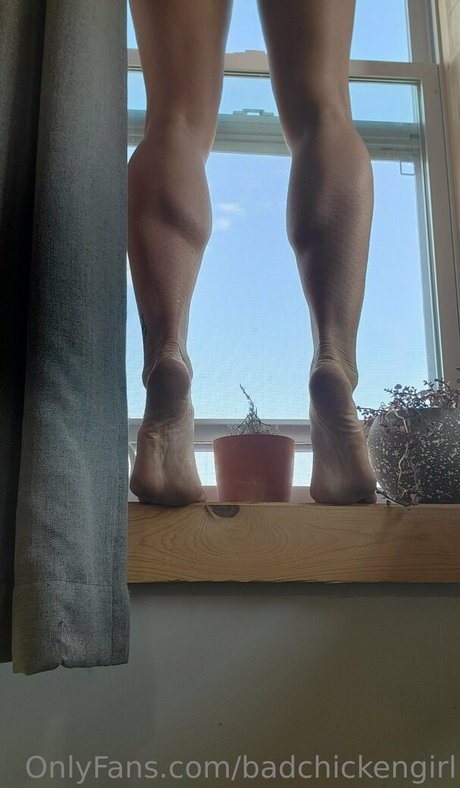 yourmomgoestocollege1980 free star image