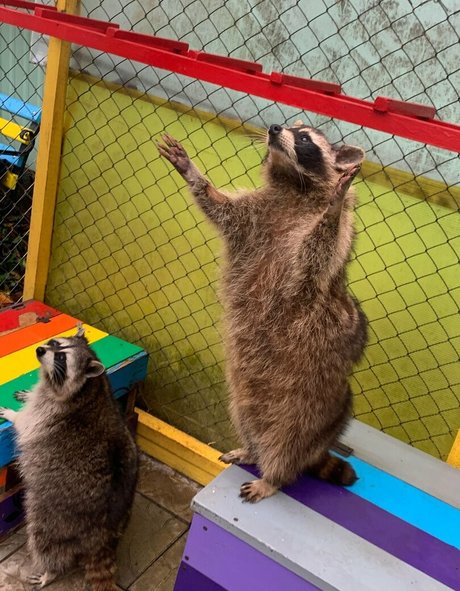 skyrror model sex picture