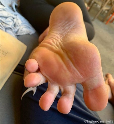 higharches bella pornstar top img