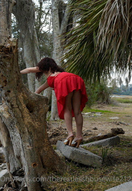 therestlesshousewife2121 sex star pics