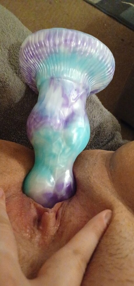 honeysteaa star beautiful archive