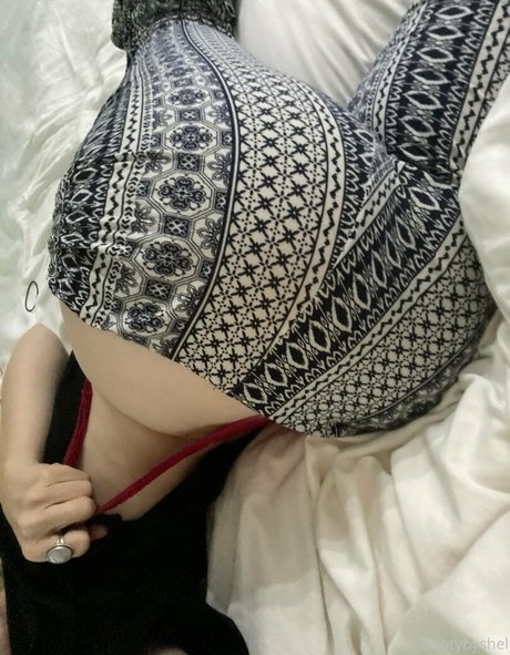 shelsonlyfans porn star images