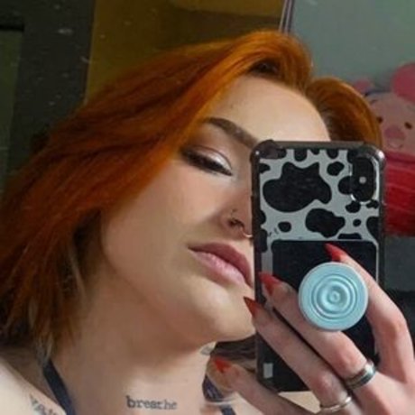 Indoor wilding star perfect gallery