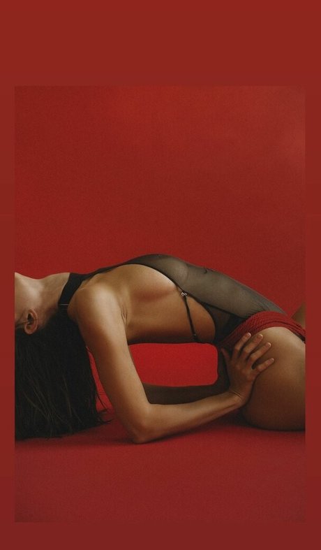 an stasiia perfect star gallery