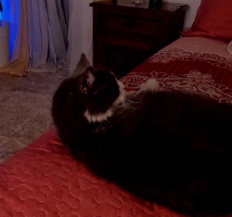 Recurbate S Profile pic