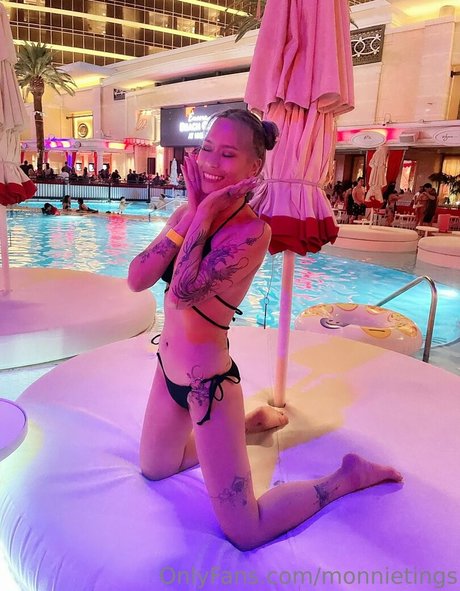 monnietings model perfect img