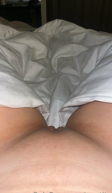 swetits free star picture