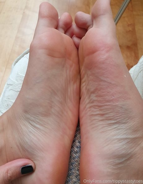 tippystastytoes pornstar top pic