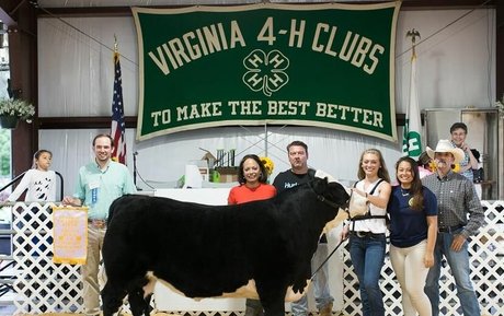 Logan Brickhouse porn actress pic