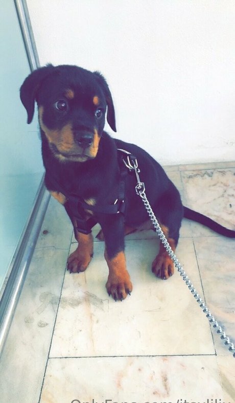 itsxlilix model sex pics