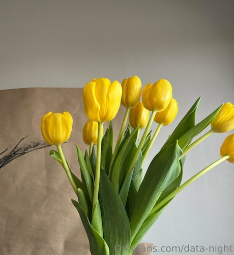 data night sex actress galleries