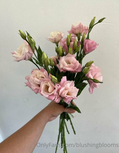 blushingblooms art star img