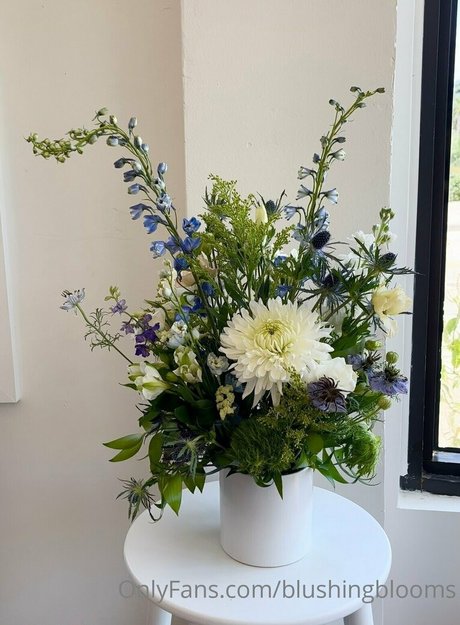 blushingblooms star sex photos