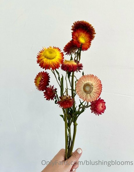 blushingblooms pornstar nice pic