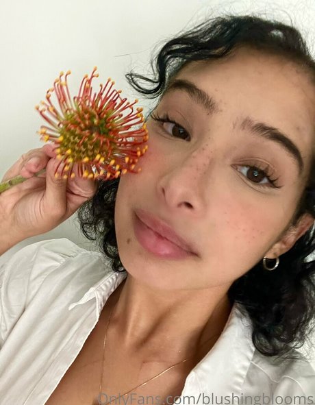 blushingblooms art star gallery