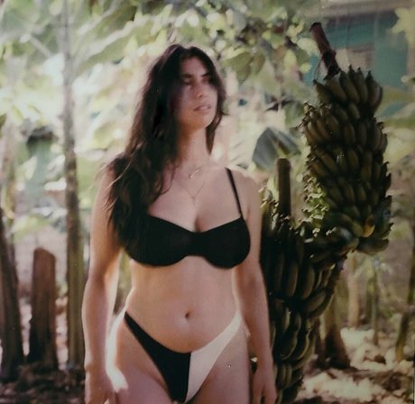 scientwehst free star pic