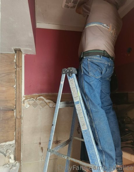 katcalico best model img