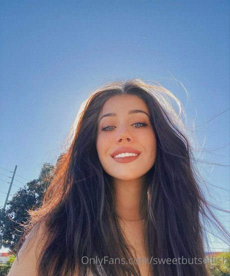 sweetbutselfish art star archive