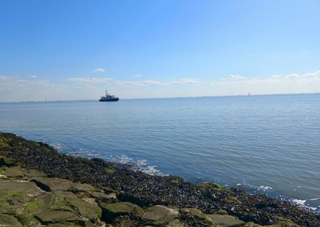 sandydoppeld erotic model photo