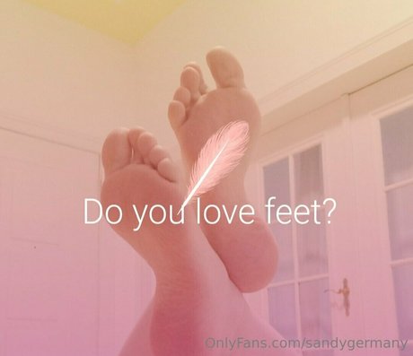 sandydoppeld star nice pic