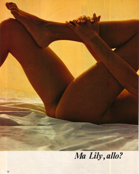 Vintage Starlets model top photo