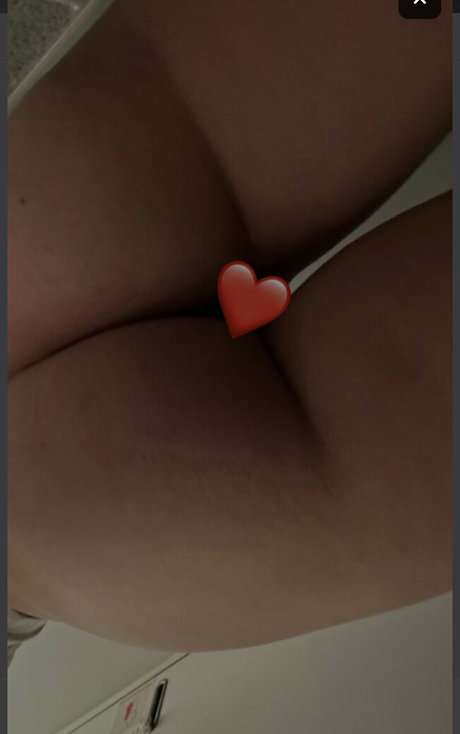 Noxaim star art photo