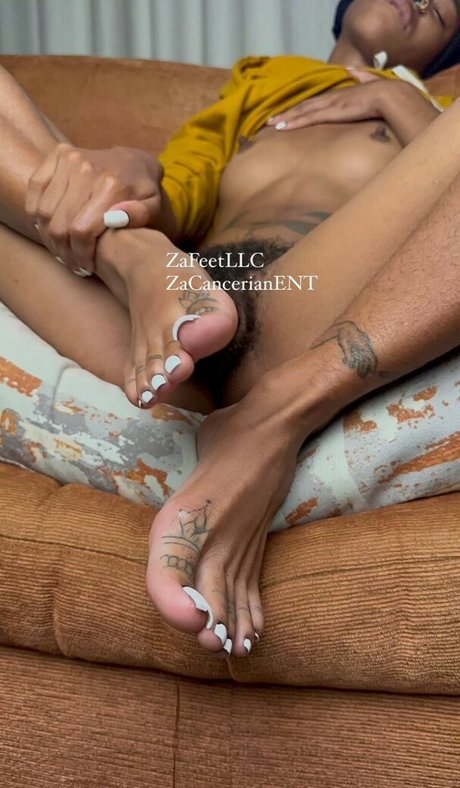Zafeetllc nice pornstar galleries