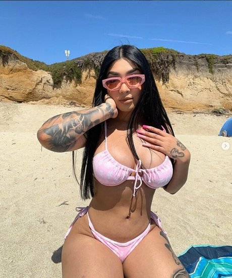 Zslaay top star gallery