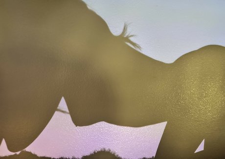 jackiefuxcks star sex photo