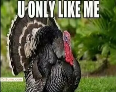 titstattsntravel model nice galleries