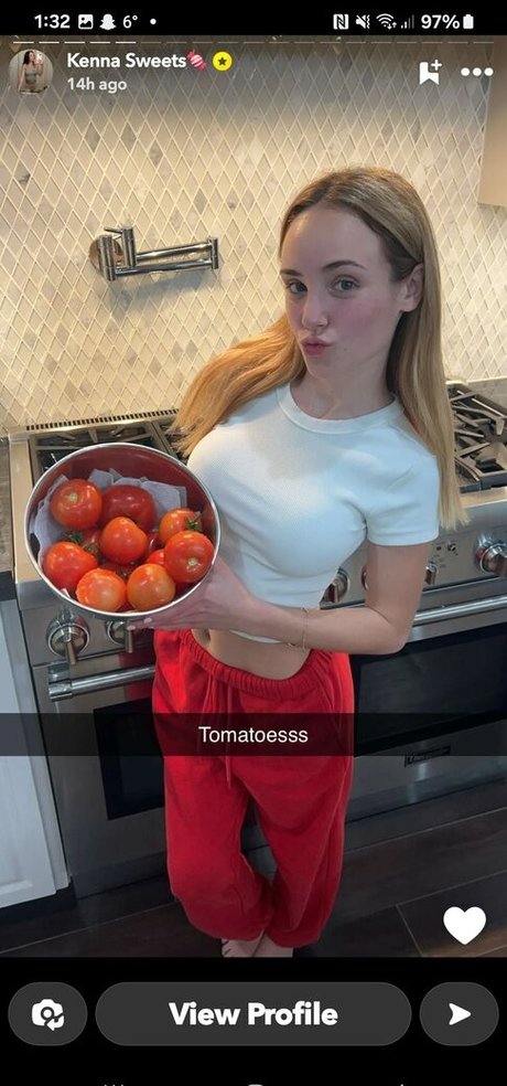 Kenna Sweets star pornographic pic