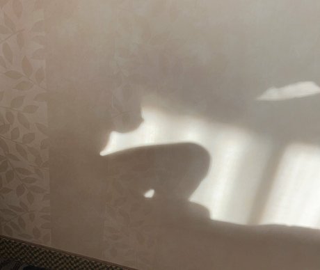 Dakota Blushing star naked galleries