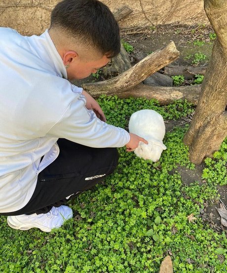 Micaela Perlezzi xxx pornstar pictures