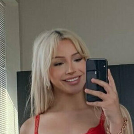 lunacats star nice pictures