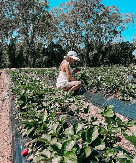 Billie Loves art model img