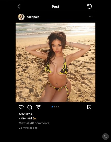 Calie xo high quality pornstar photo