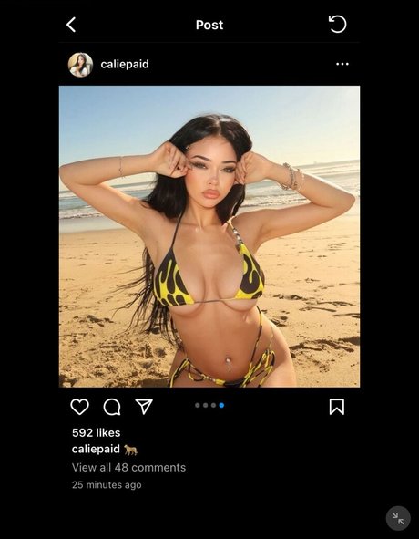 Calie xo star high quality pic