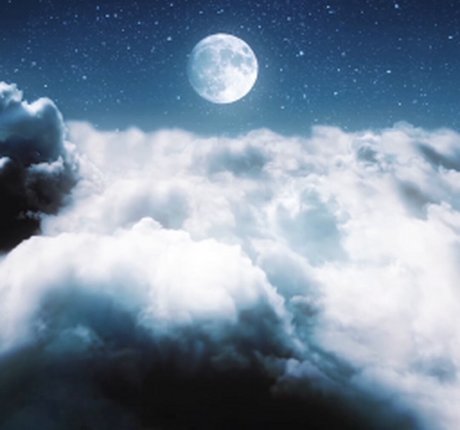 Toree pornstar hd pic