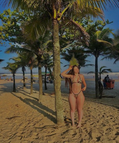 niic ca model nice galleries