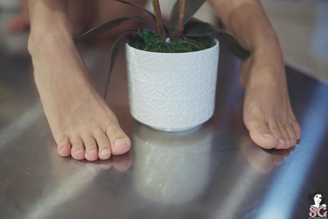 Erisverba star xxx img