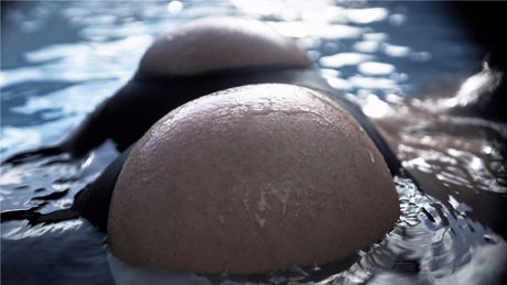 Valentina Lequeux pornstar exclusive pictures