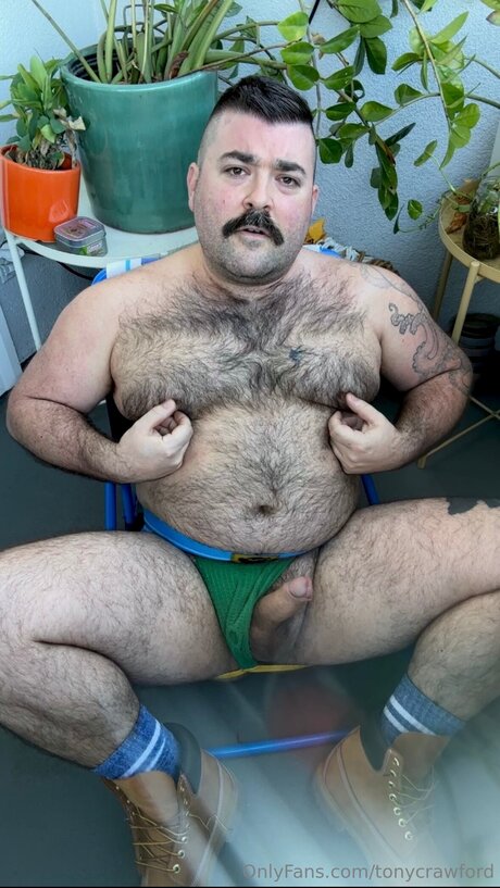 Tonycrawford nice actress galleries