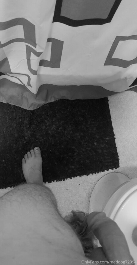 Maddog72094 star perfect image