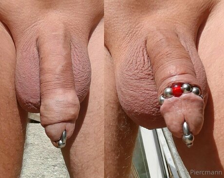 Piercmann pornographic actress galleries